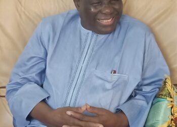 Nupe language and culture will continue to thrive for the well- being of society-Jerry Gana.