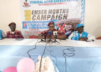 RTCs claimed 46 lives in Niger in 2024 — Sector Commander